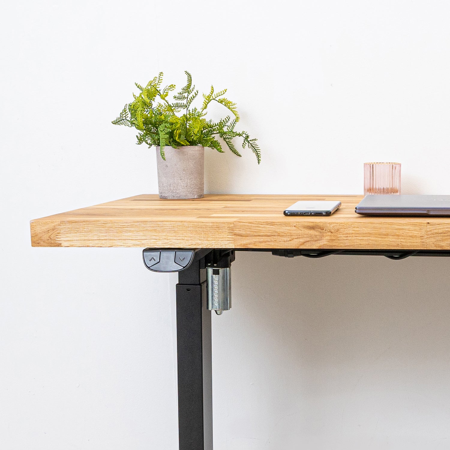 Electric Height Adjustable Standing Desk with Oak Solid Wood Desktop