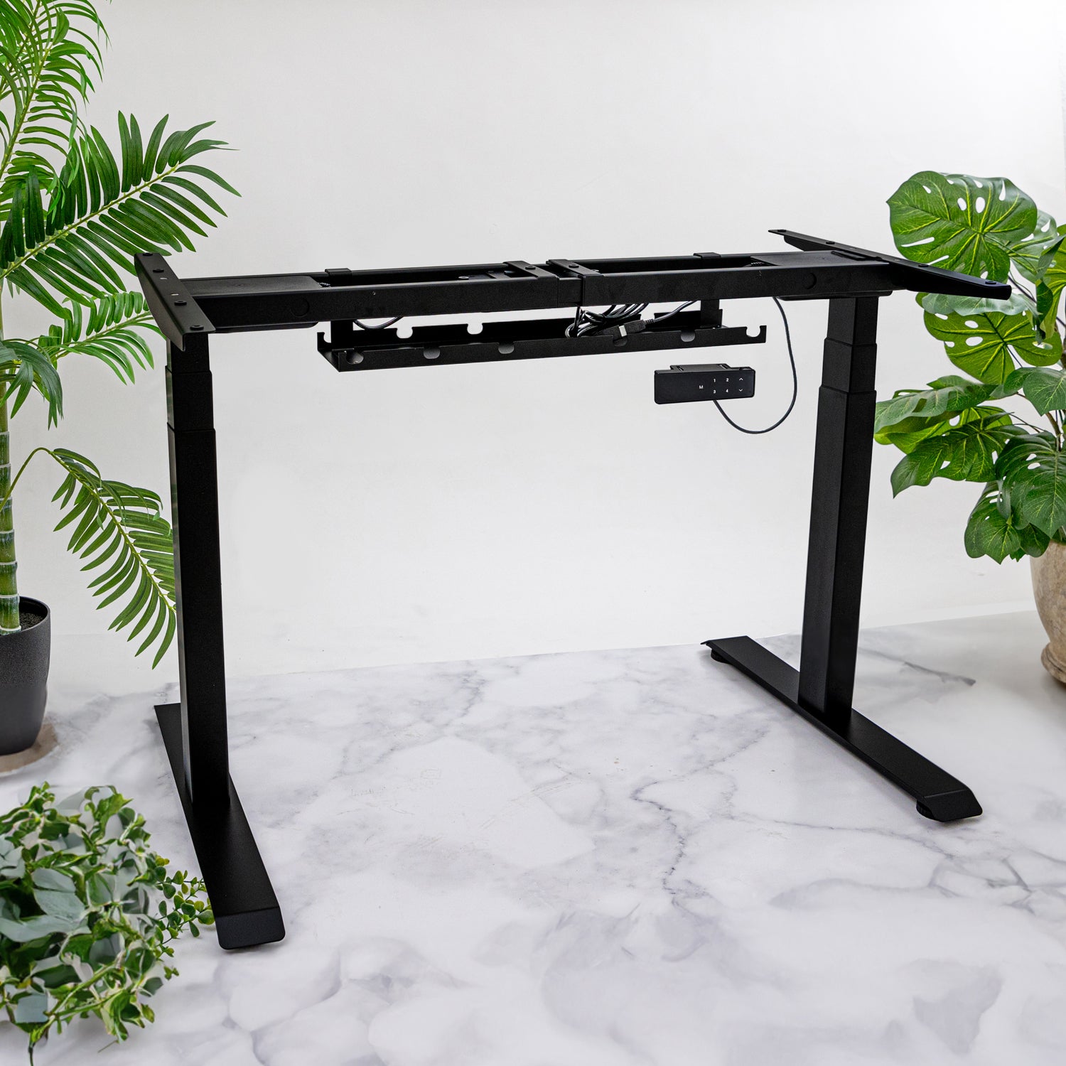 Premium Black Sit Stand Electric Desk with Oak Wooden Desktop