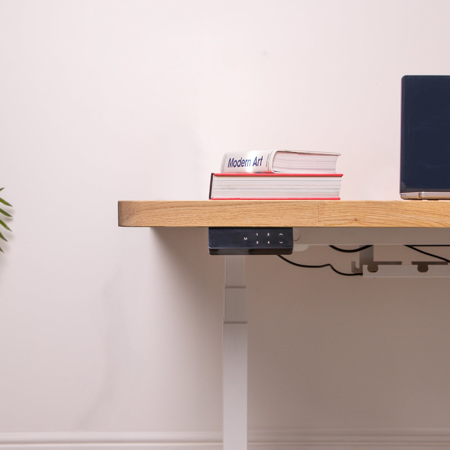 Premium Dual Motor White Standing Desk with Prime Oak Solid Wood Rounded Desktop