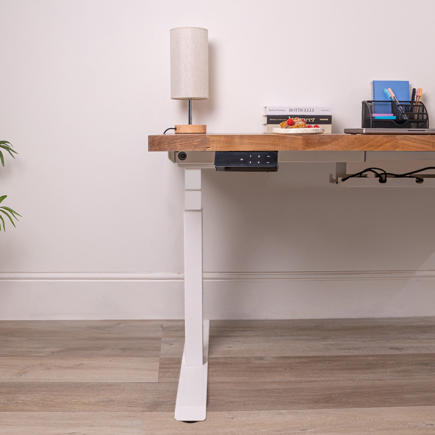 Premium Dual Motor White Standing Desk with Walnut Solid Wood Desktop