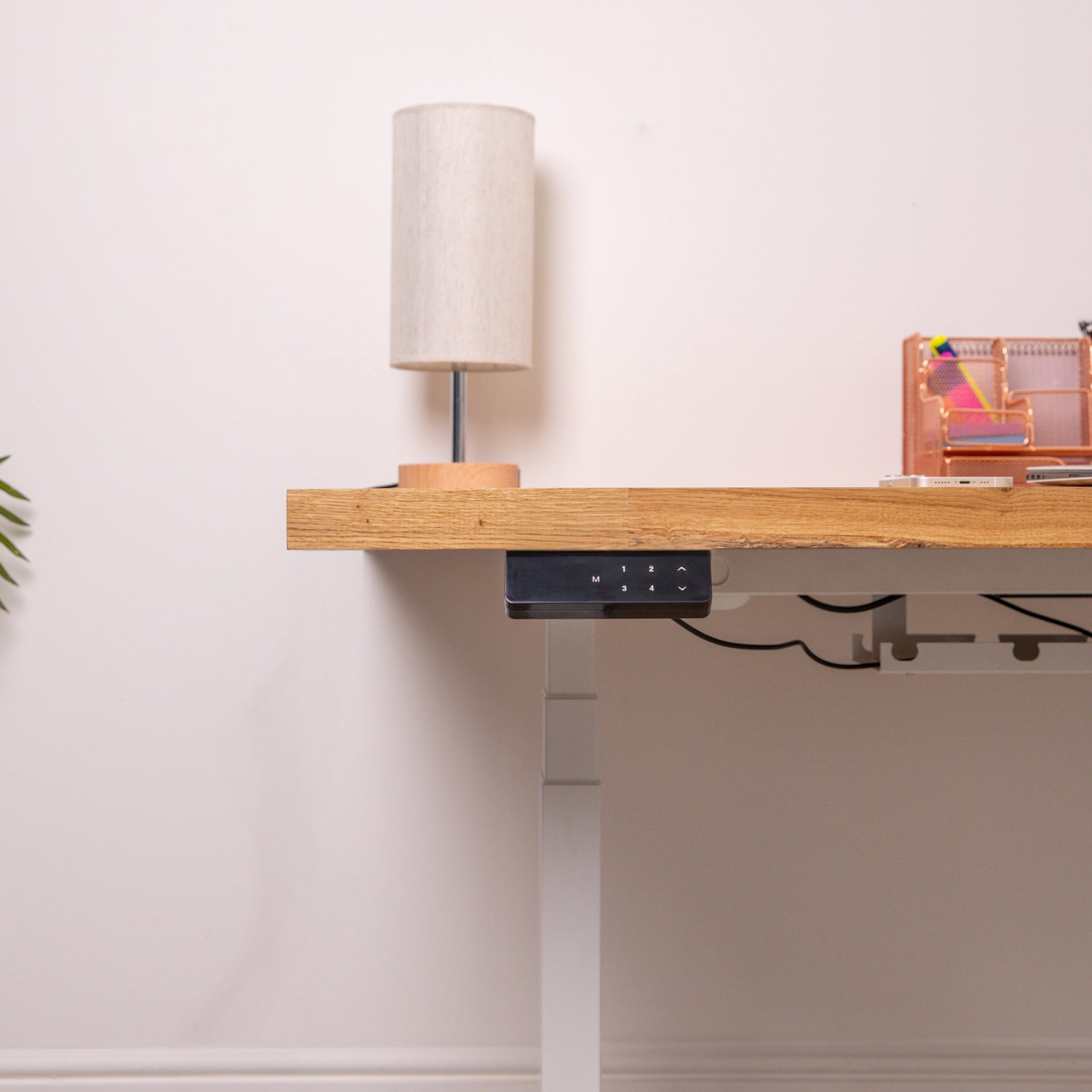 Premium White Sit Stand Electric Desk with Oak Wooden Desktop