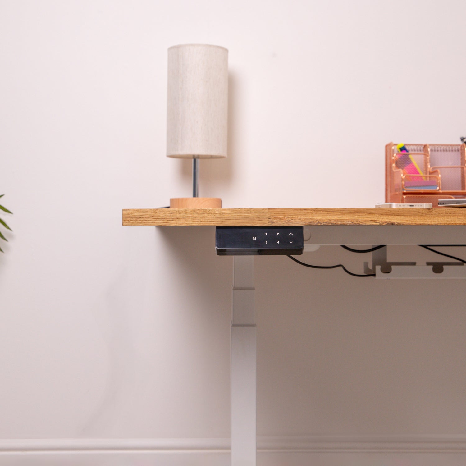 Premium White Sit Stand Electric Desk with Oak Wooden Desktop