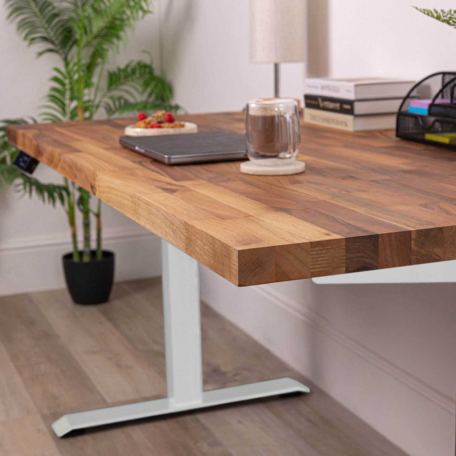 Premium White Sit Stand Electric Desk with Walnut Wooden Desktop