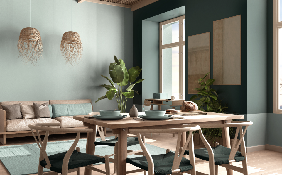 domli lifestyle newsletter